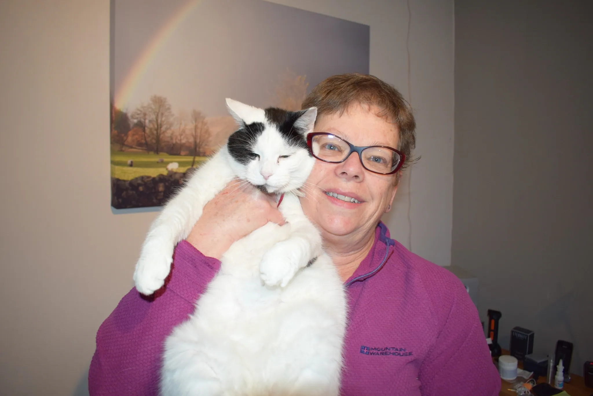 L04 marshall emigrates from flypets lyme surrey 4 dec 2017 (2)